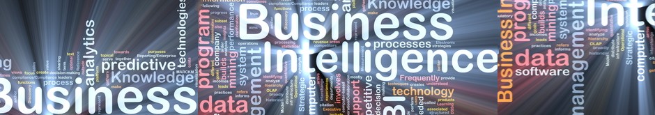 Business Intelligence QlikView